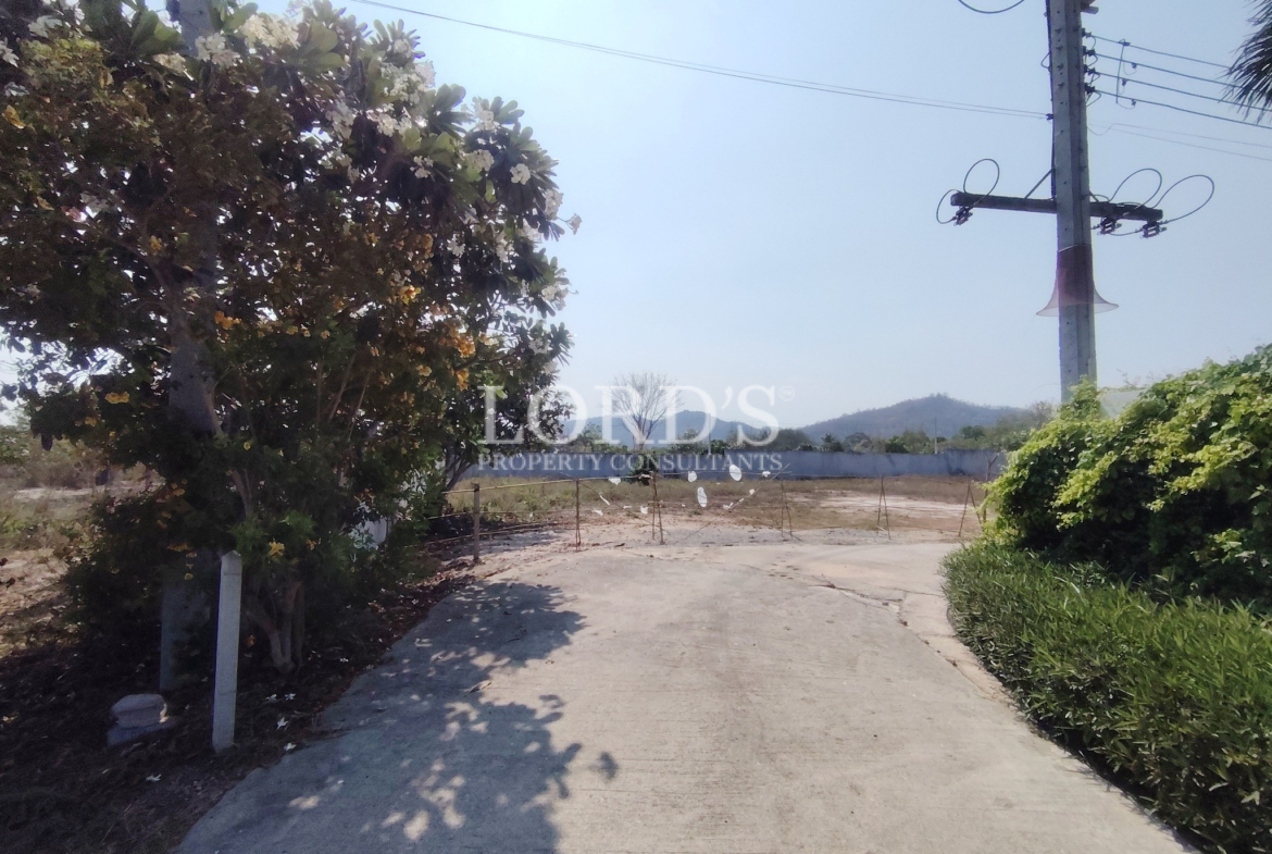 Narrow road with greenery and houses