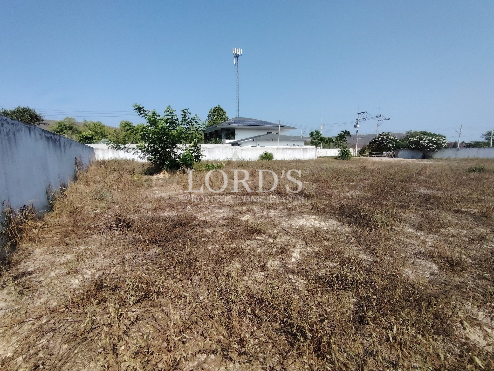 Open land with trees and blue sky