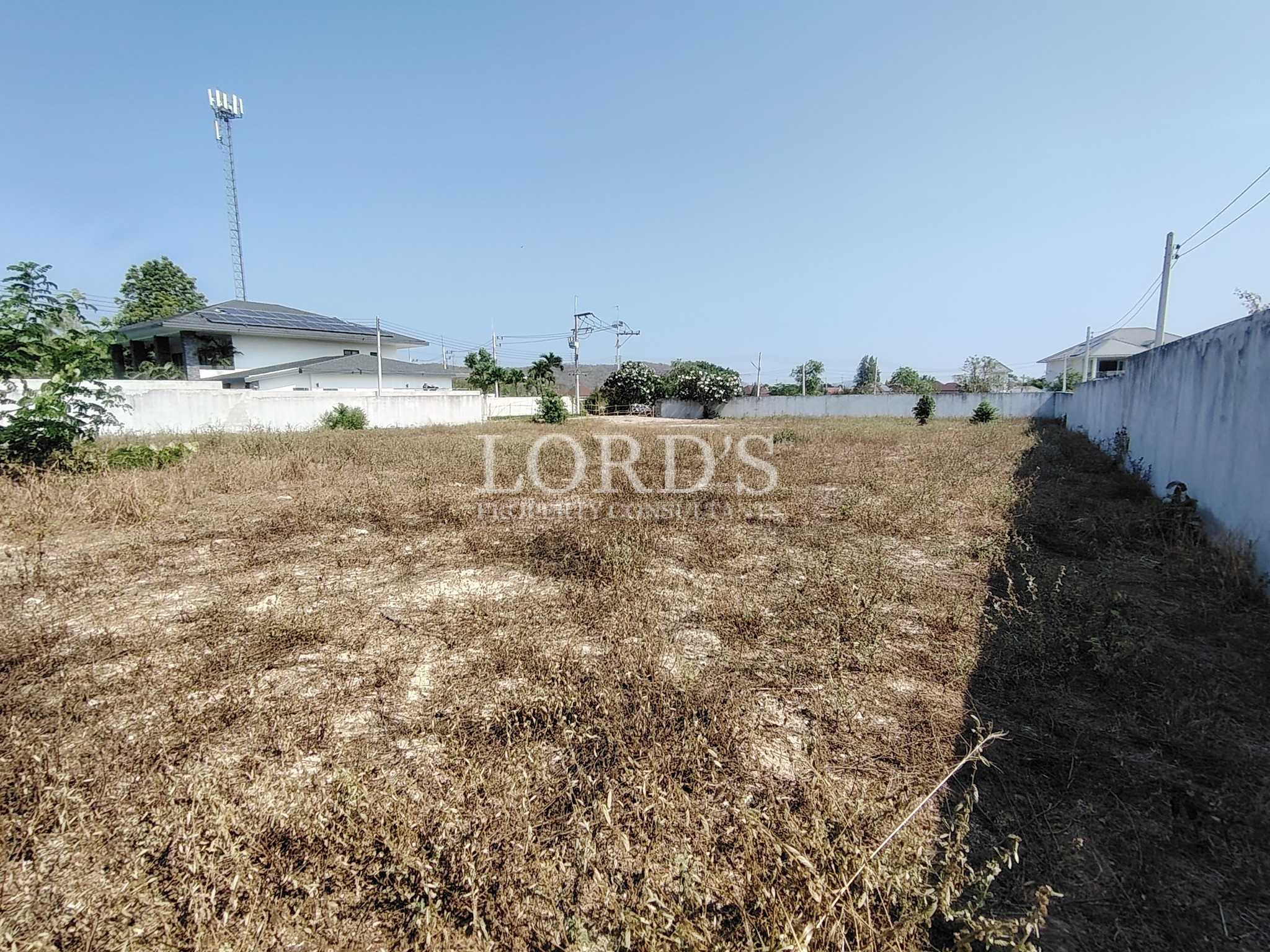 Empty land with dry grass and fence