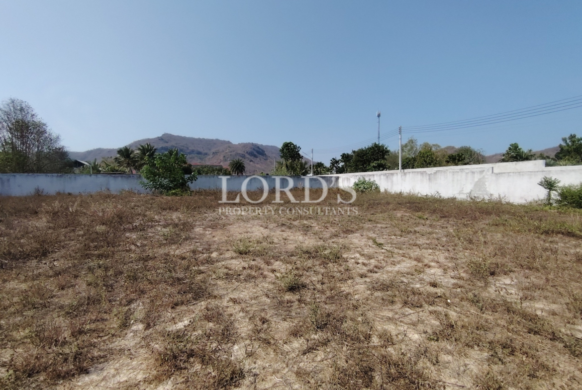Dry grass land with open sky view