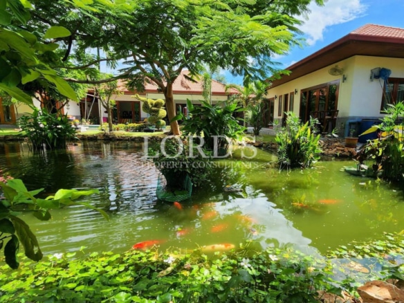 Garden with pond and tropical plants