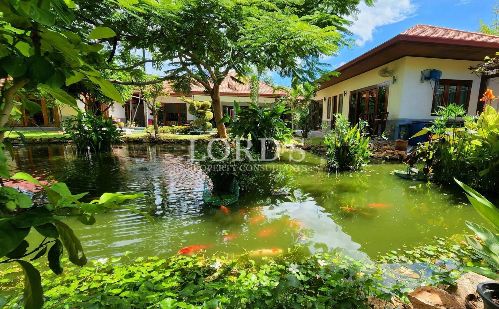 Garden with pond and tropical plants