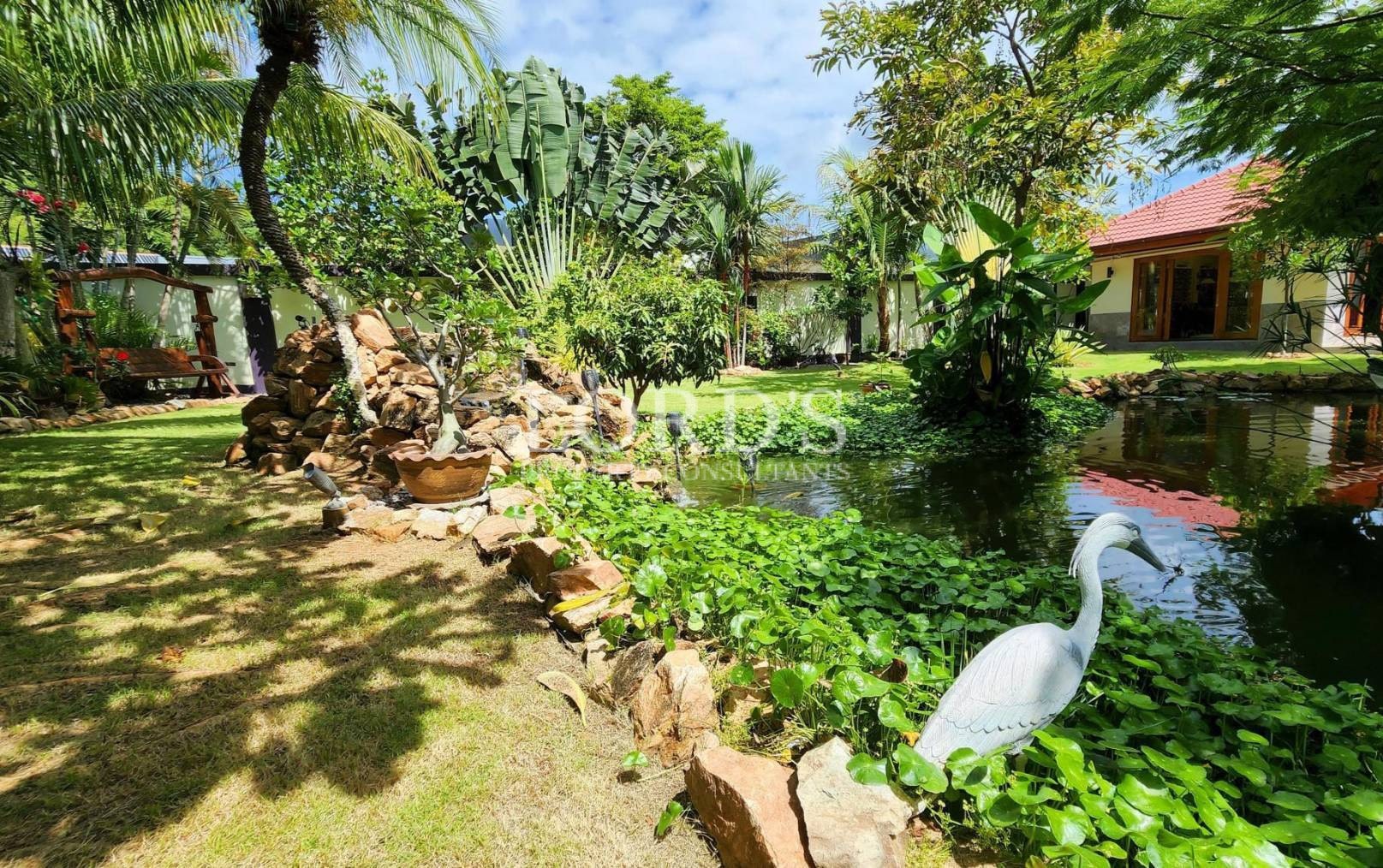 Garden pond with plants and stone pathway