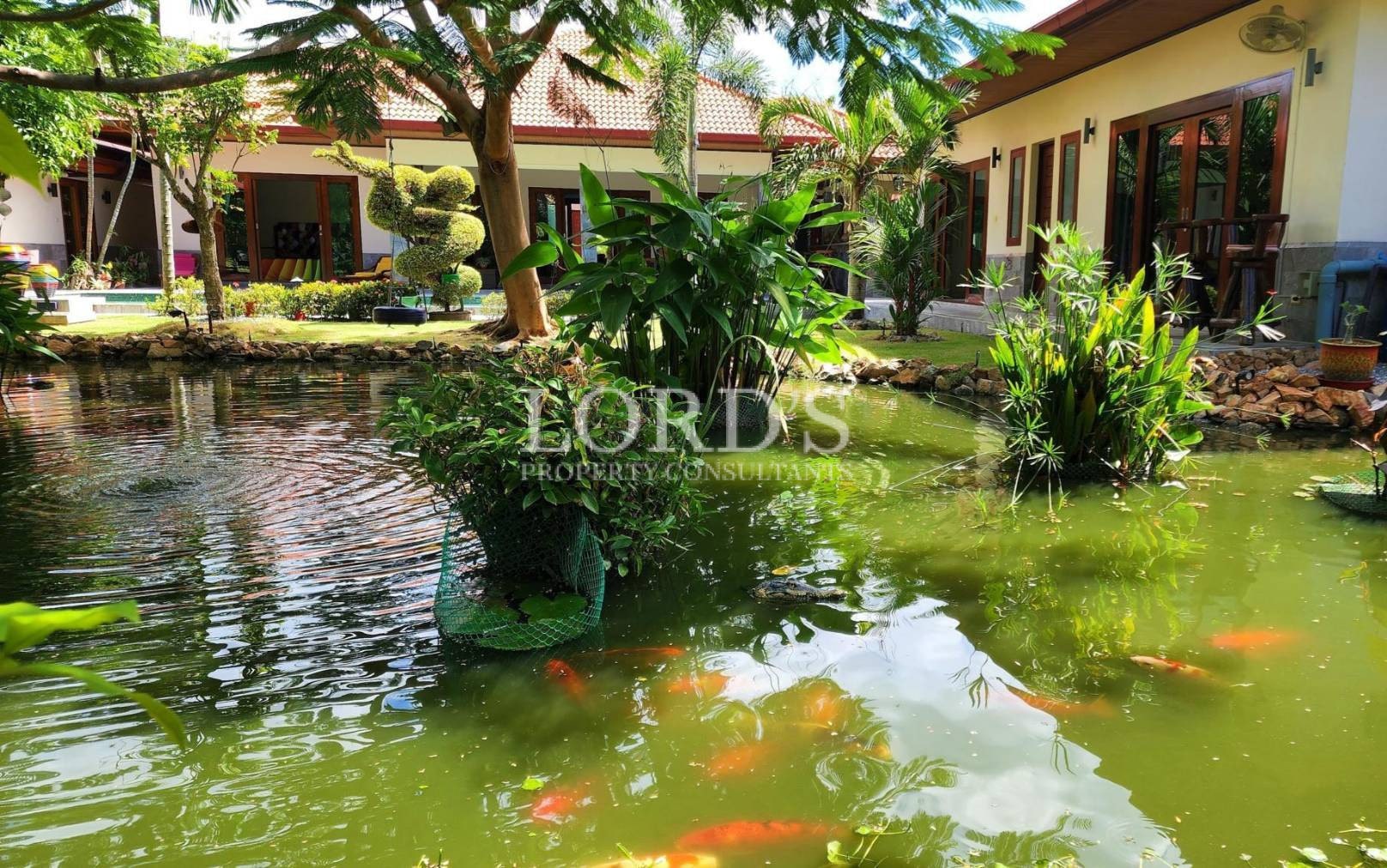 Garden with pond and fish