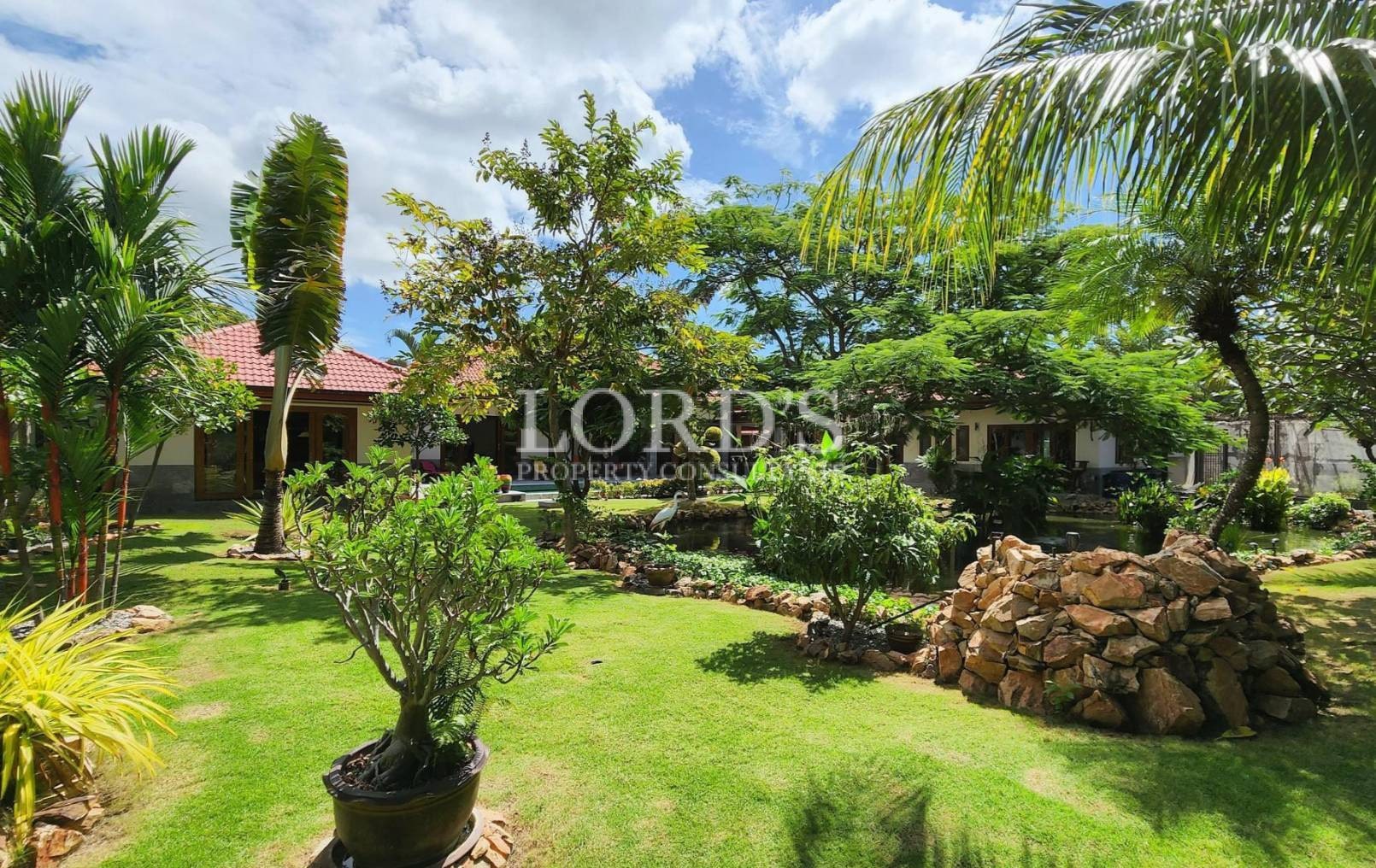 Garden with lawn and landscaped plants