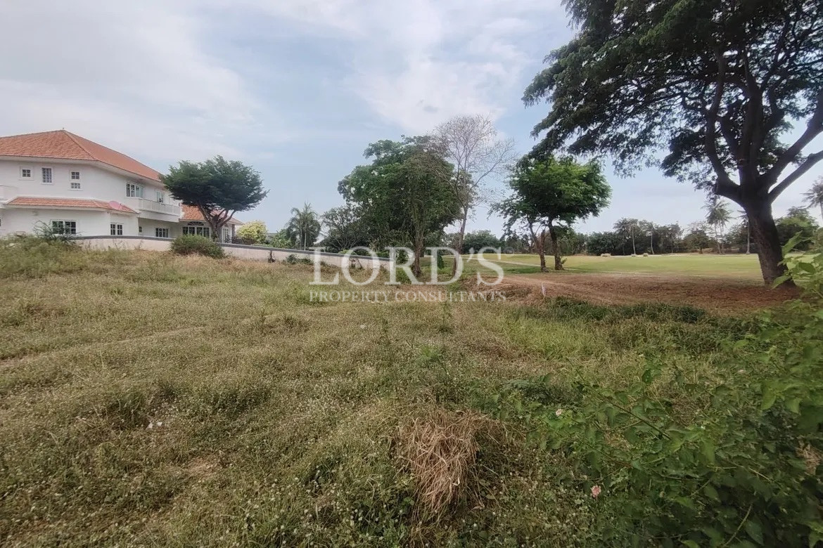 Grassy open land with trees