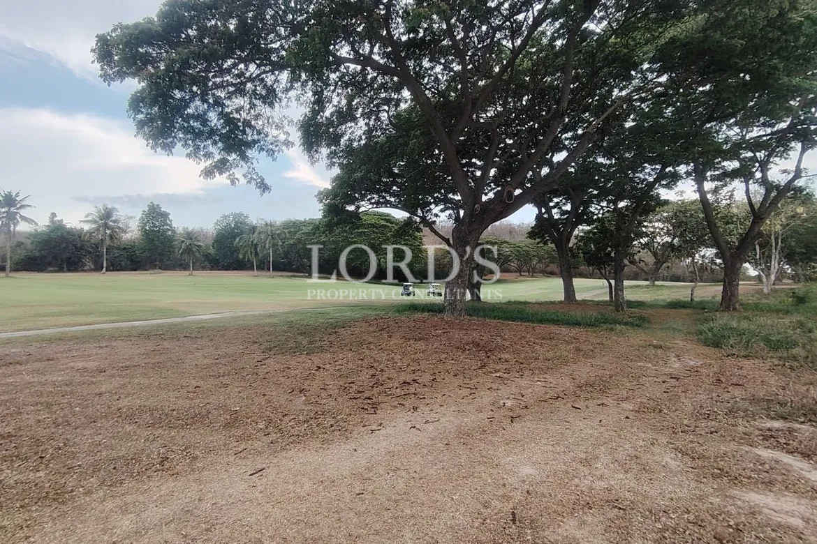 Empty land under large tree shade