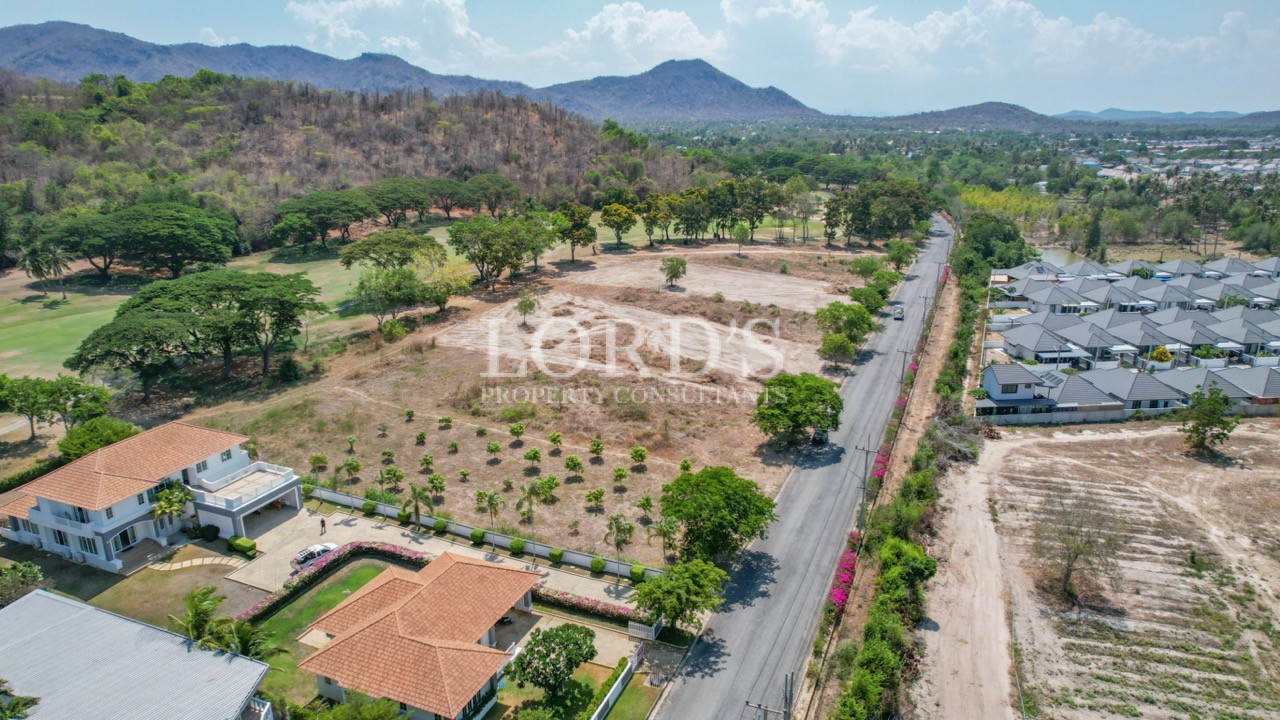 Orchard land beside main road