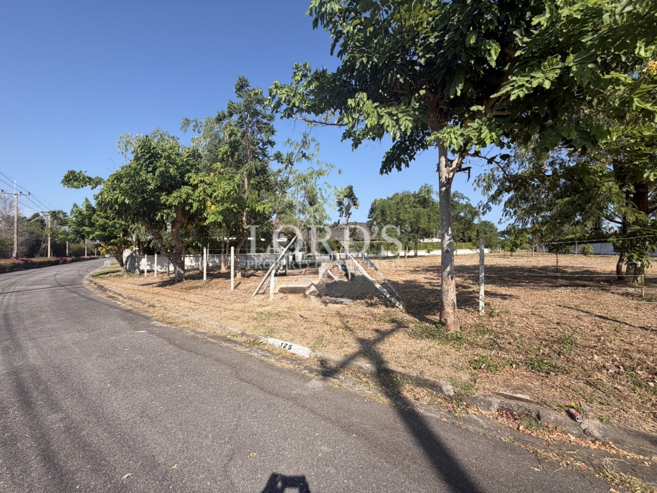 Roadside land with tree shadows