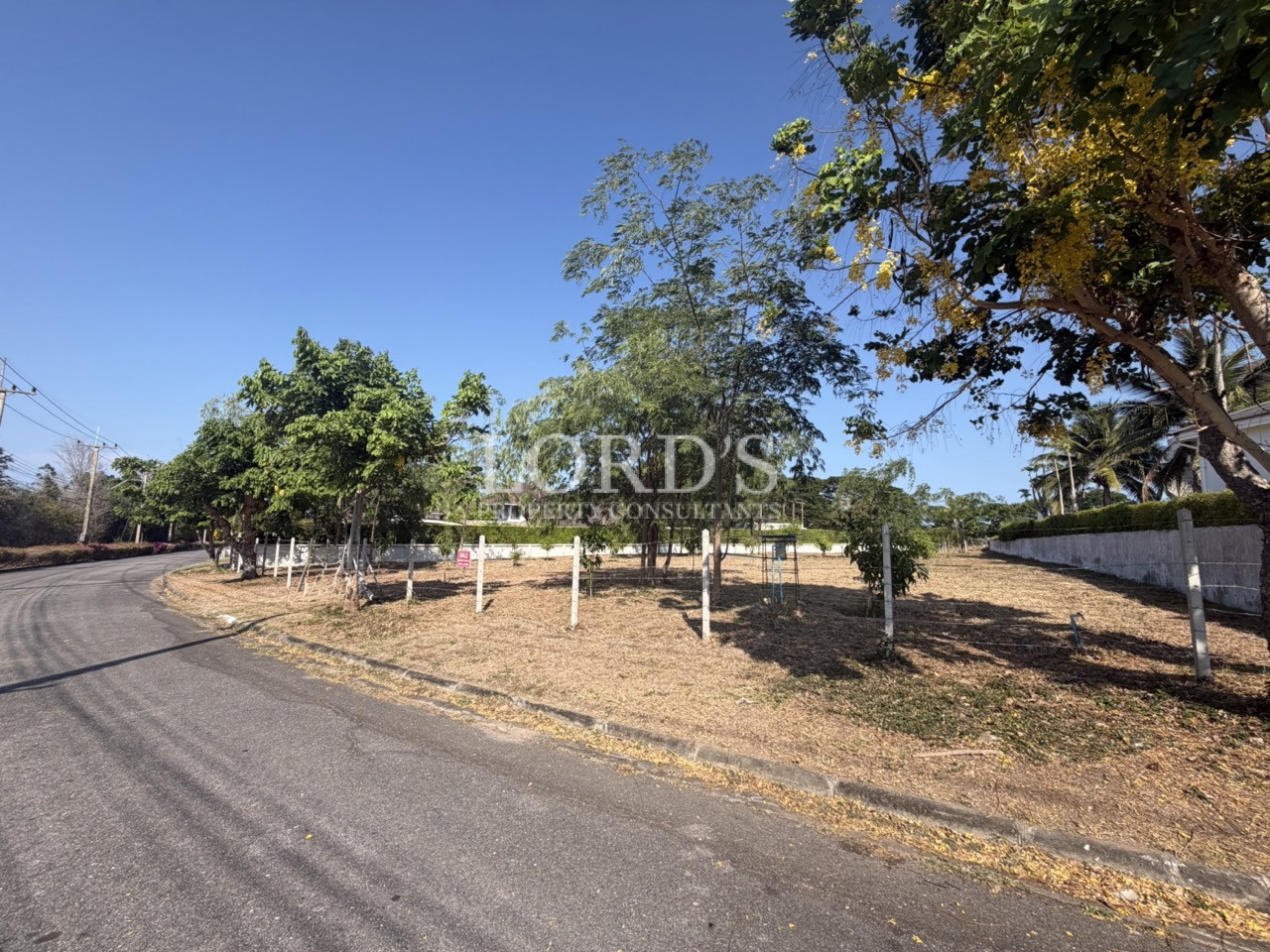 Dry land with trees and fencing