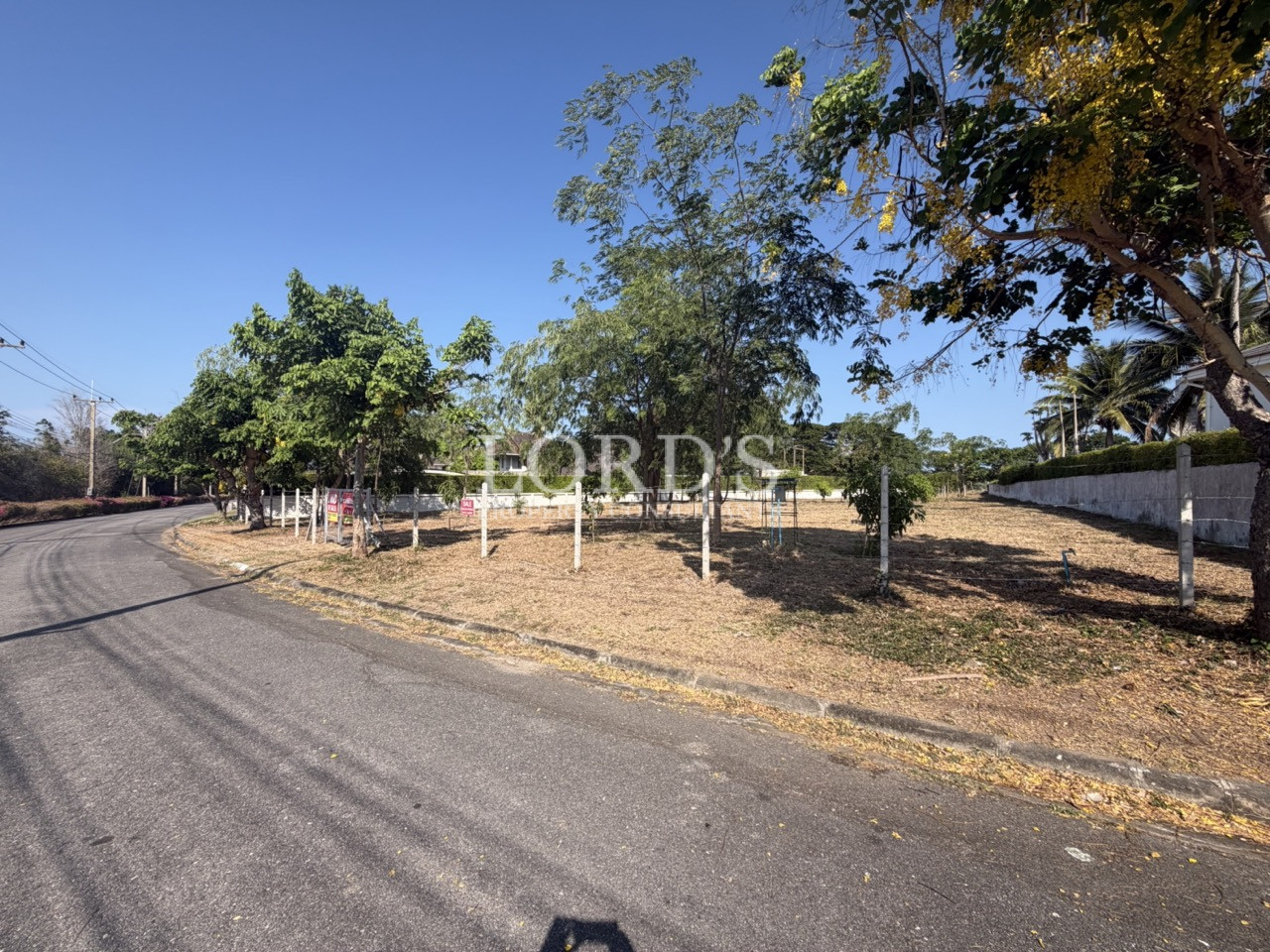 Open land beside quiet roadway