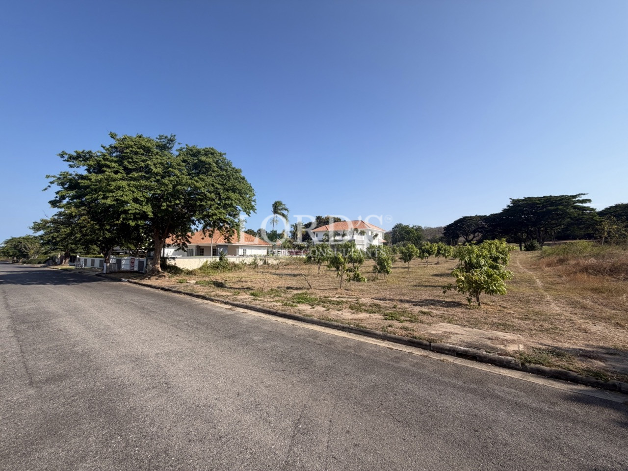 Quiet paved road near open land