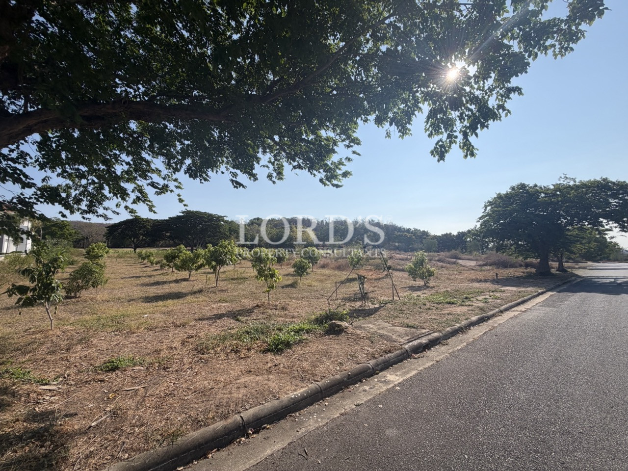 Roadside land in residential zone