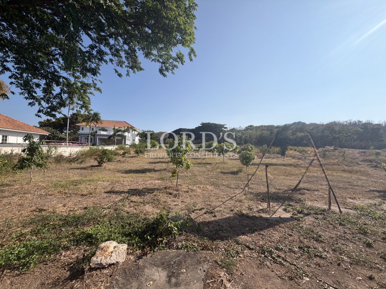 Vacant land within residential area