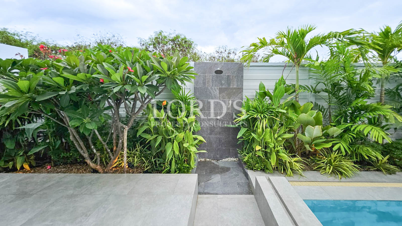 Garden pathway with tropical plants