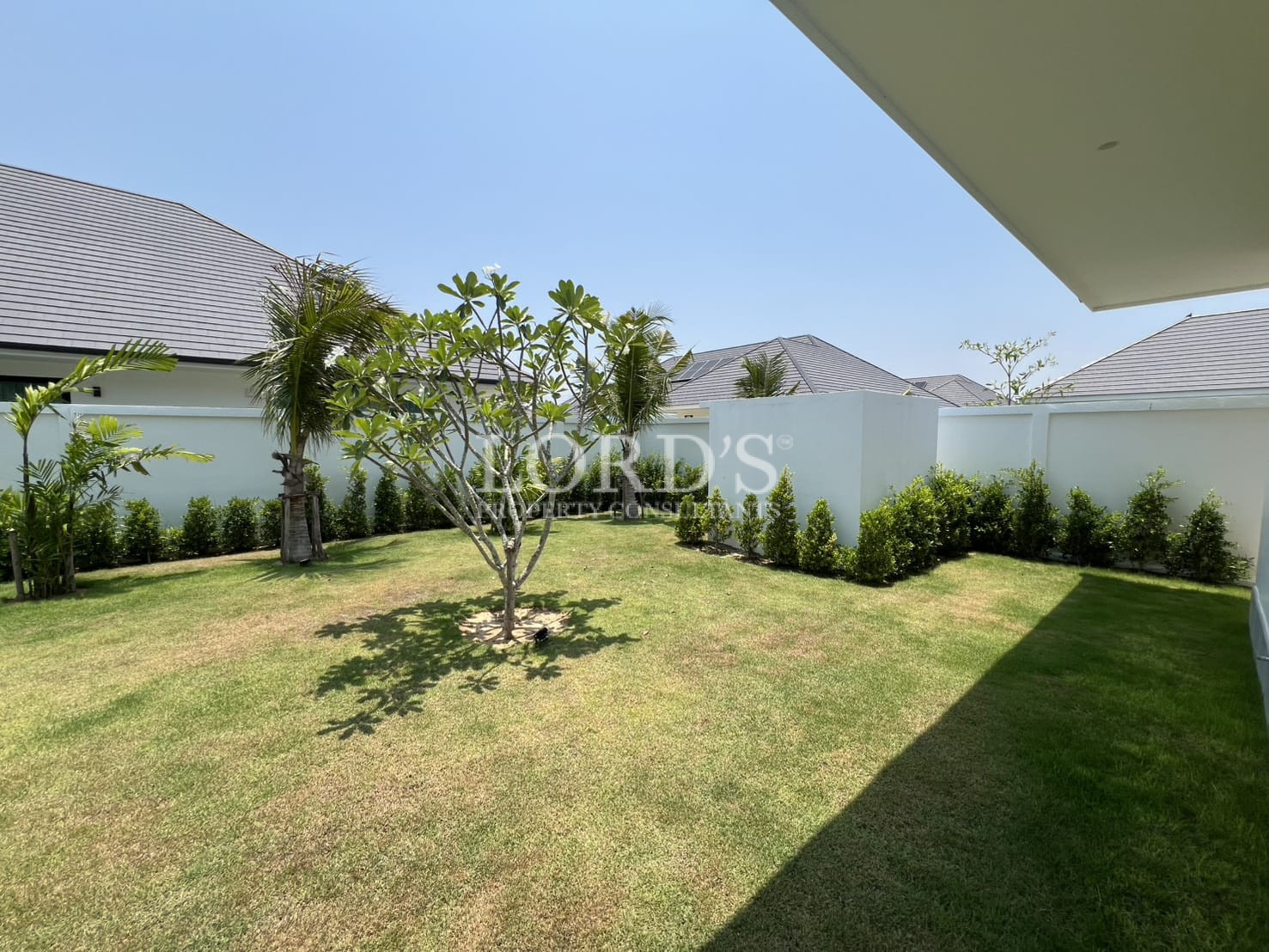 Garden lawn with small trees