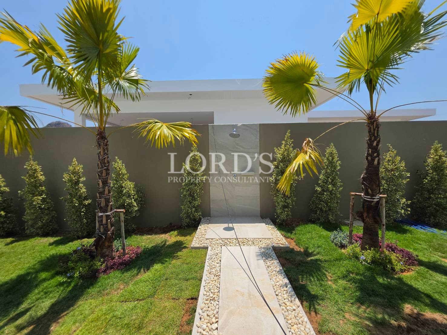 Garden pathway with plants and lawn