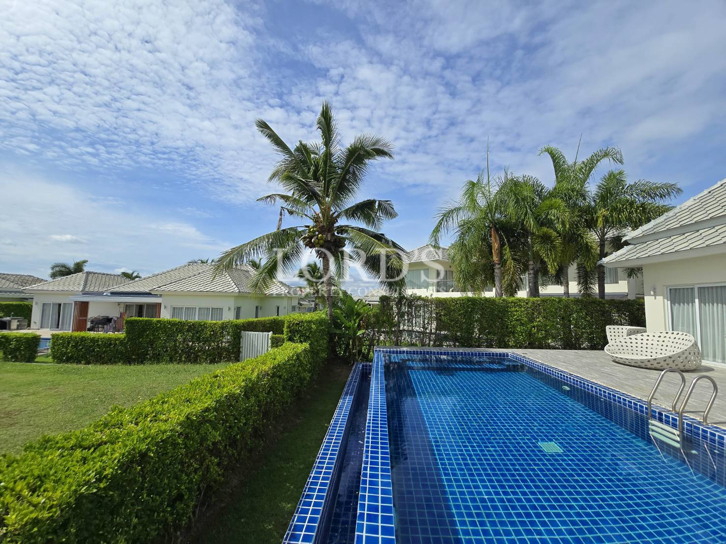 Poolside with palm trees and garden