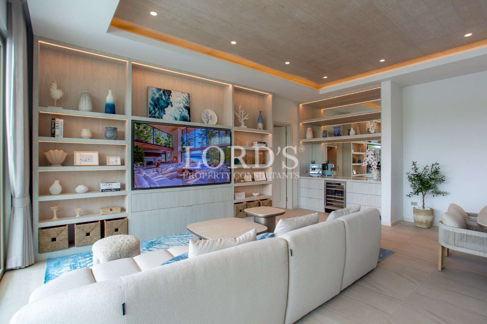Living room with built-in shelving and TV