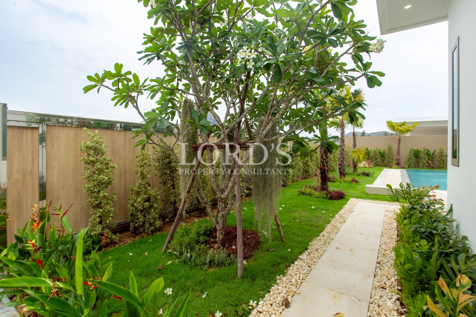 Garden pathway beside tropical trees