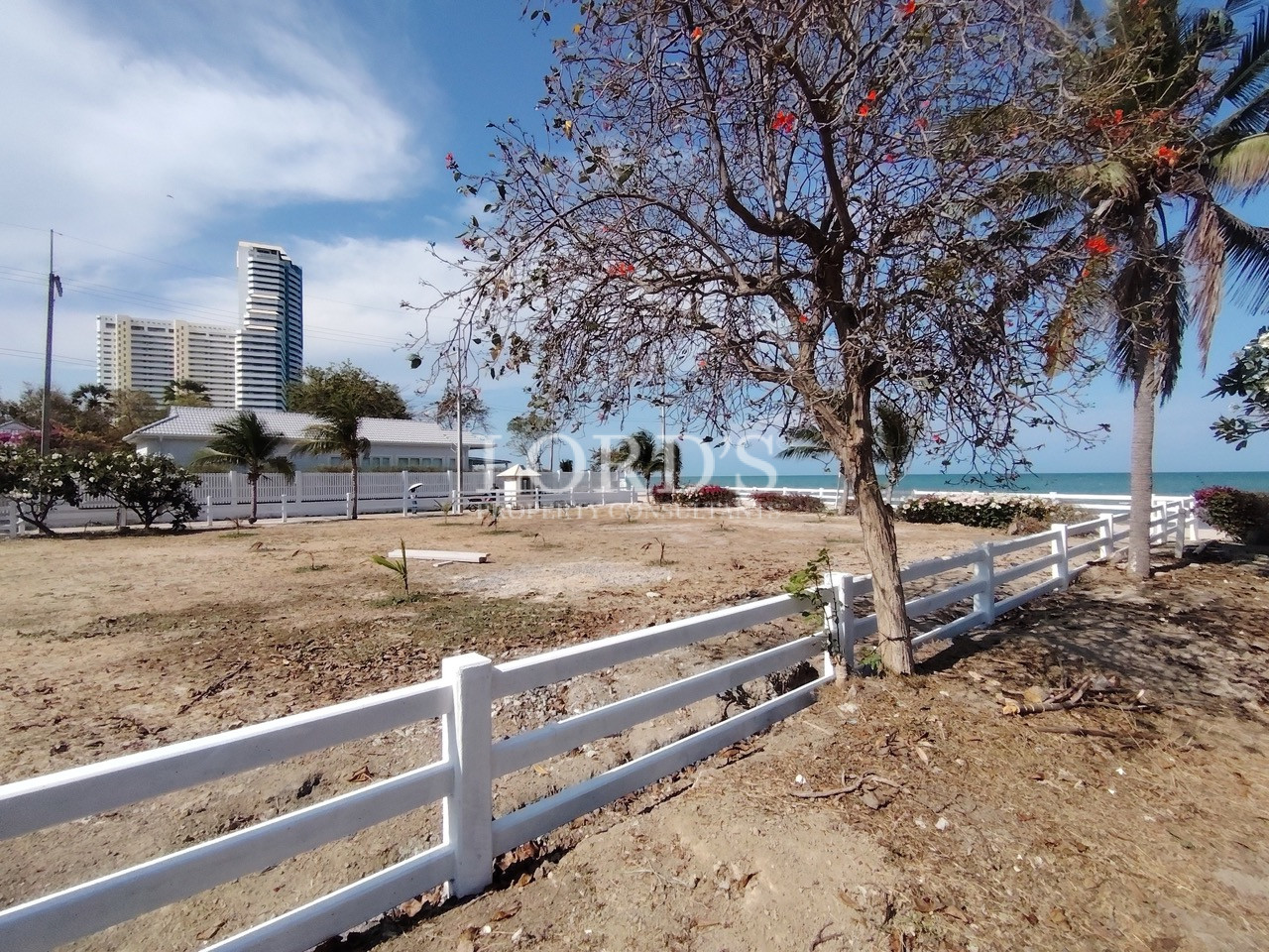 White fence and flowering tree near beach
