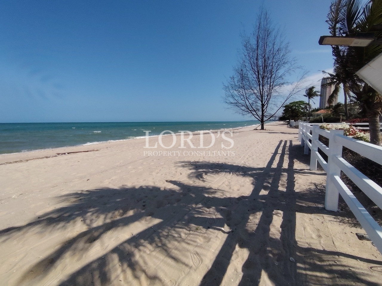Beachfront path with ocean shadows