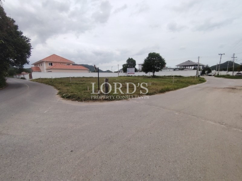 Corner roadside plot with house and greenery