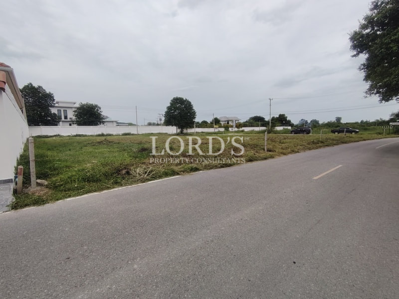 Wide roadside view with open grassy fields