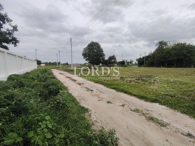 Dirt road beside open grassy land