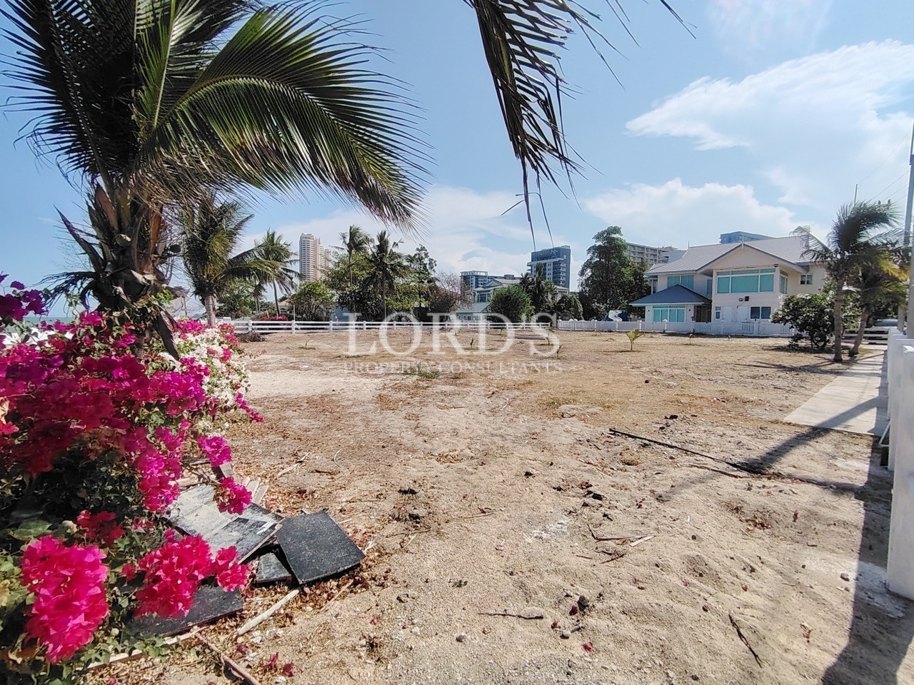 Sandy beachfront land with palm trees