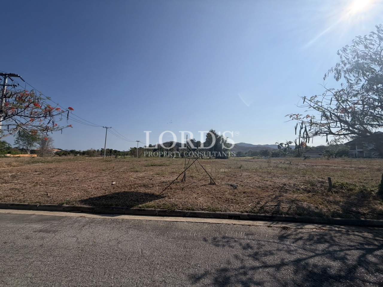 Vacant roadside property area