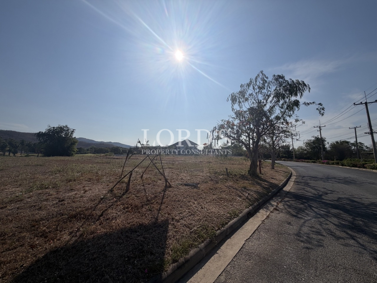 Sunlit empty land beside road