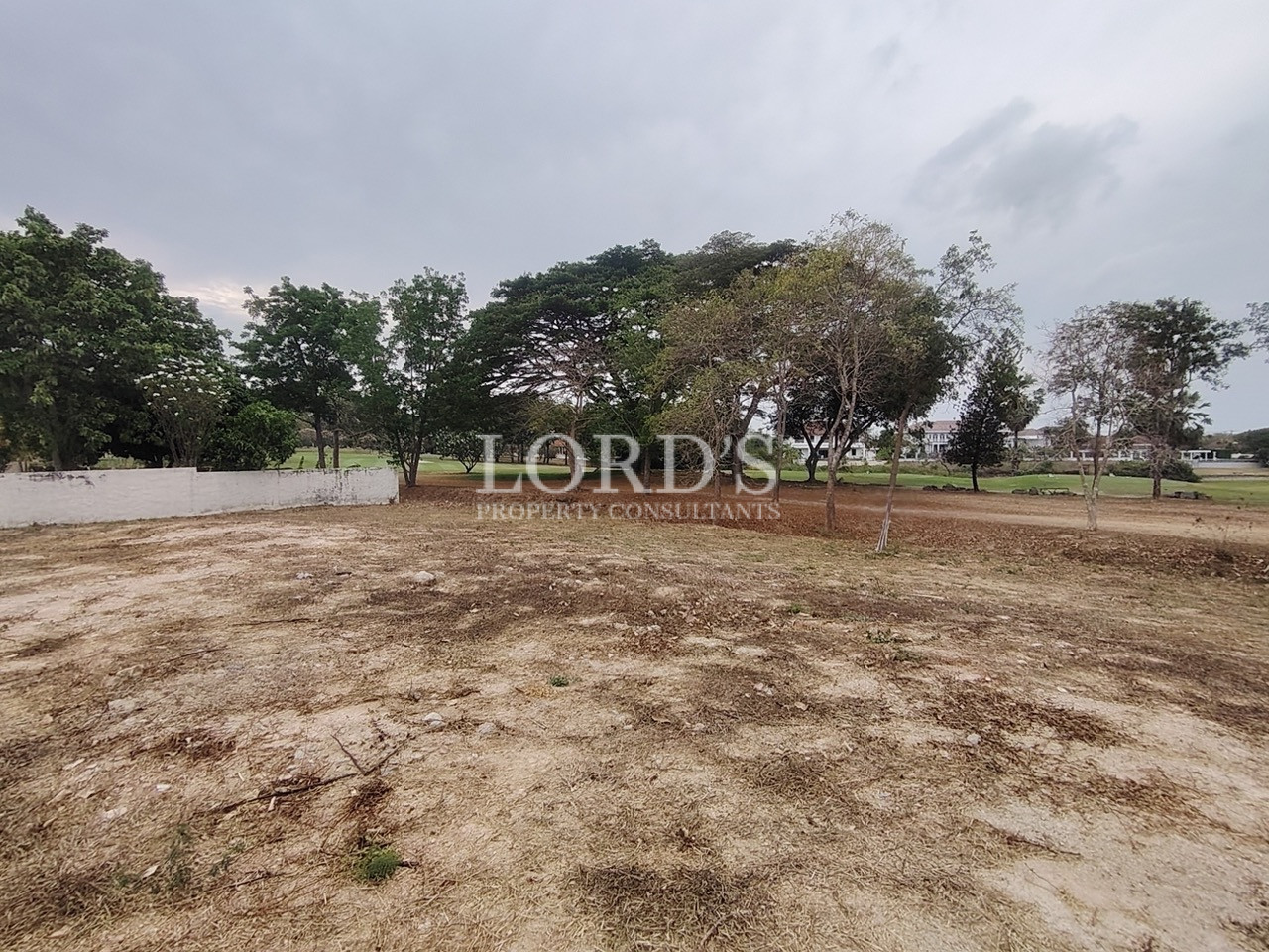 Empty land plot with trees