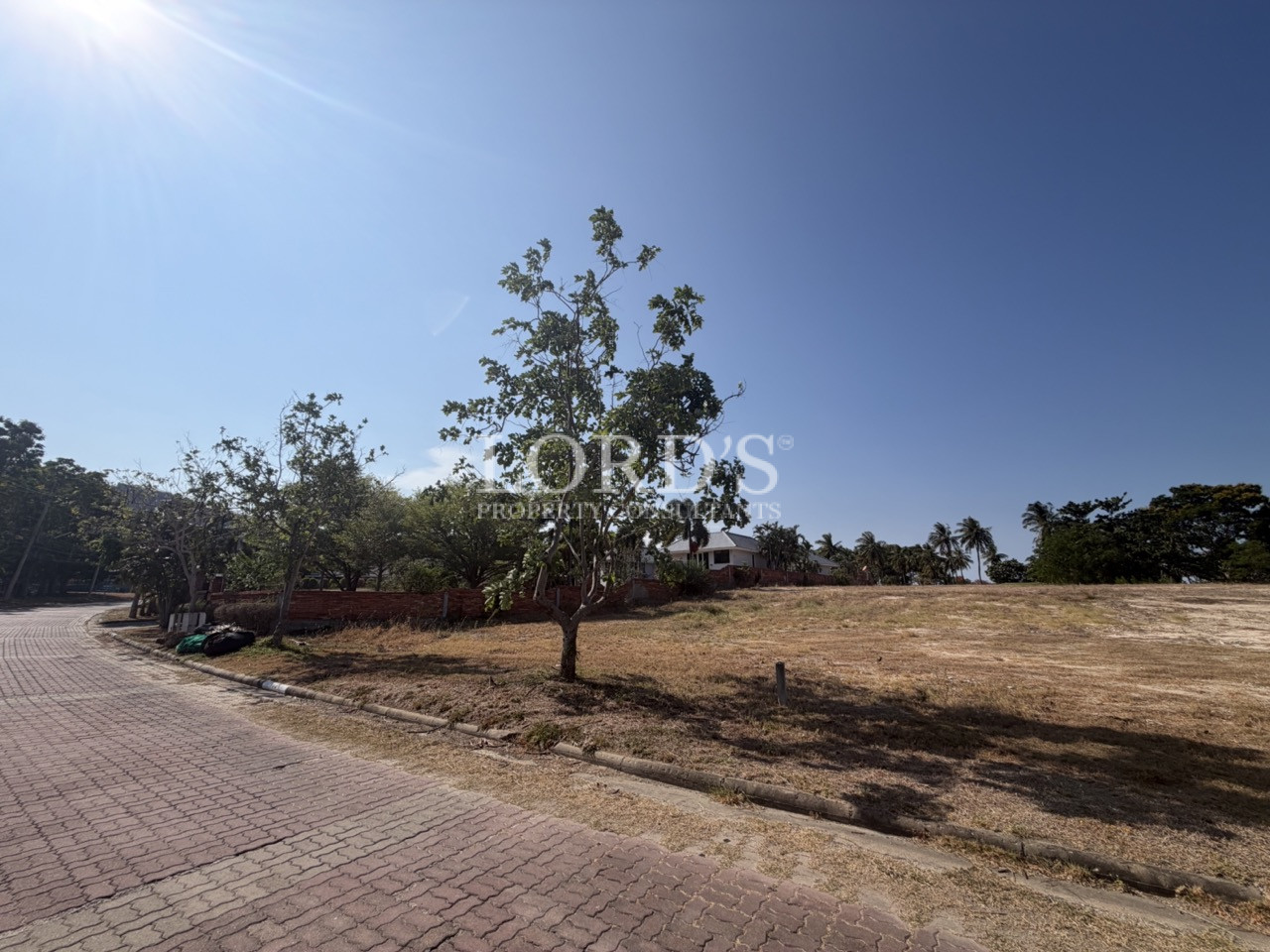 Dry land with sparse vegetation