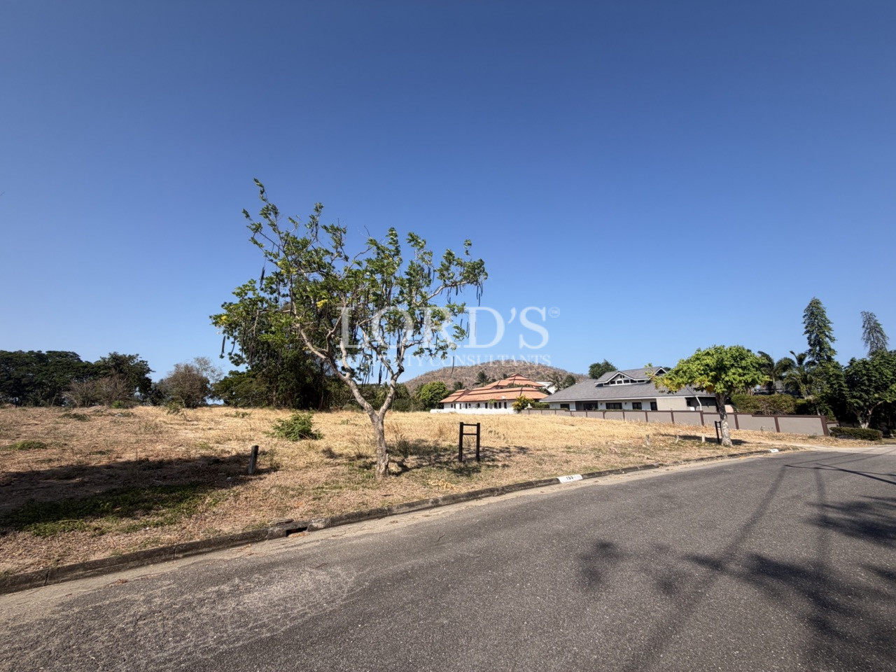 Roadside vacant land with trees