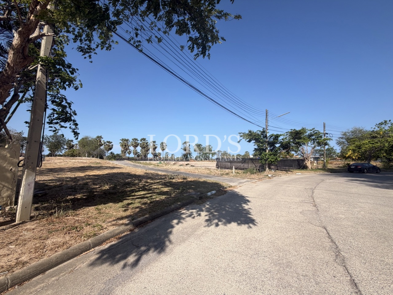 Curved road beside vacant land