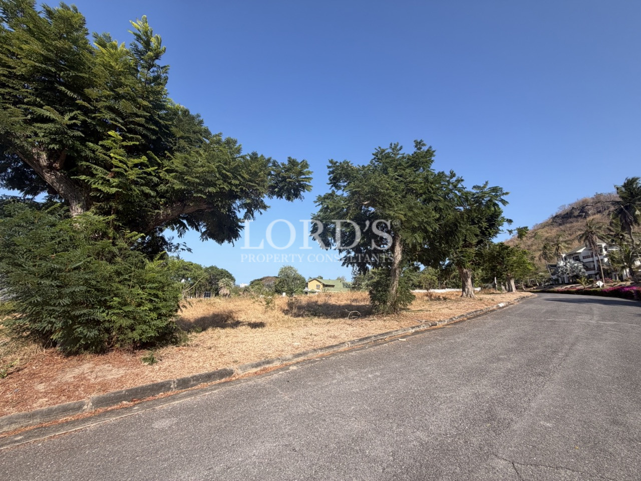 Curved road beside vacant land