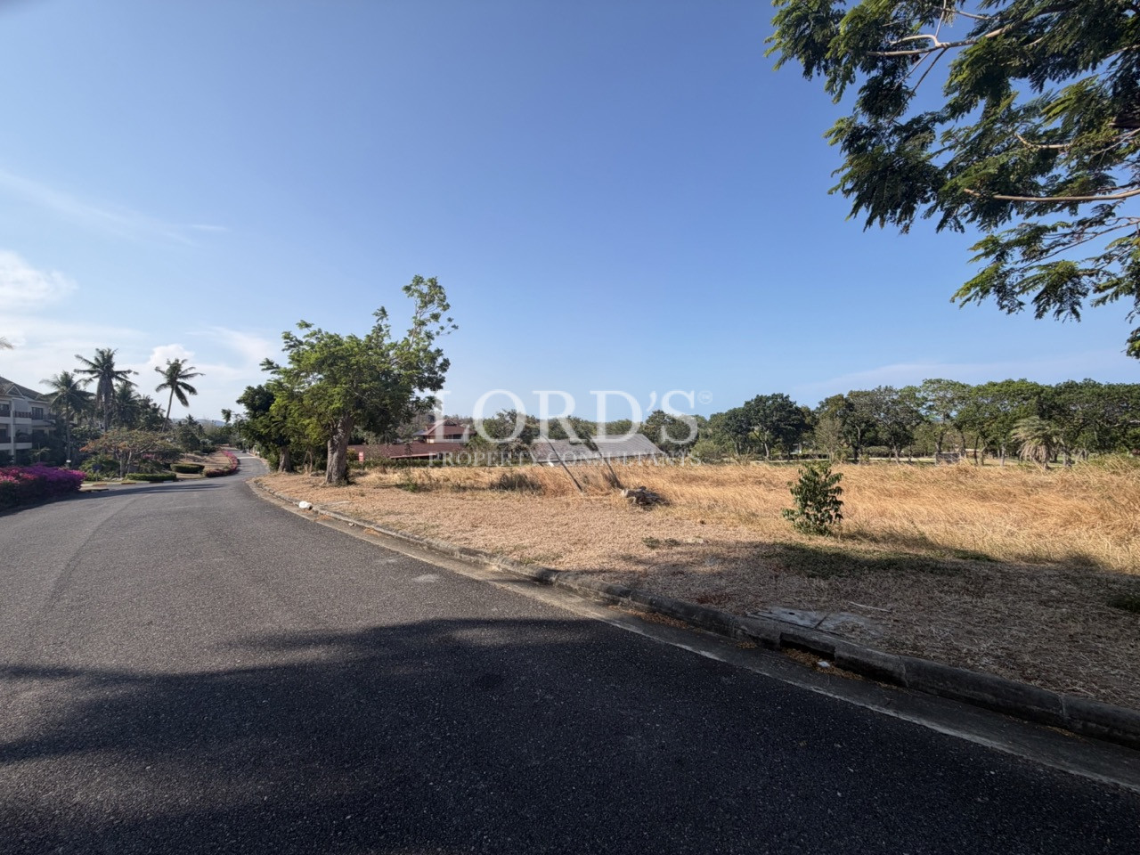 Roadside vacant land with mountains