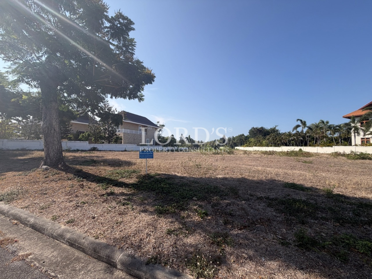 Roadside land with shaded trees