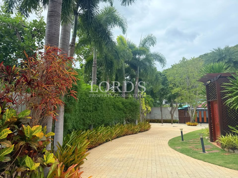 Curved driveway with tropical landscaping