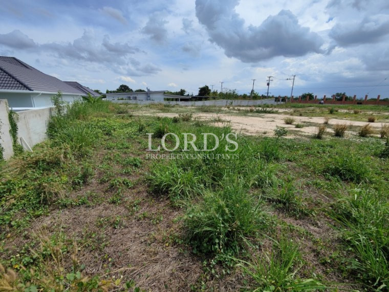 Grassy field with mountain backdrop