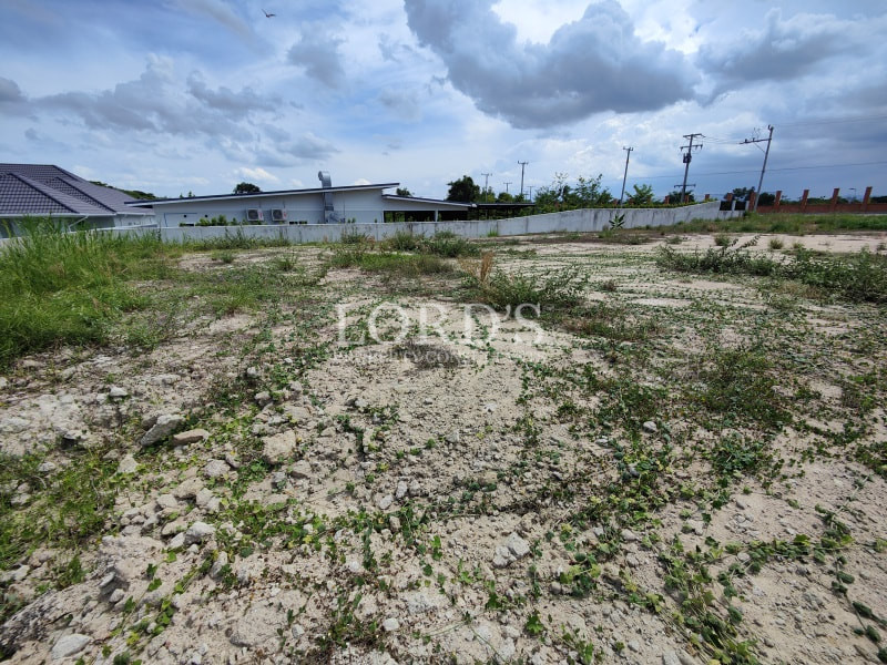 Barren land with cracked soil and greenery