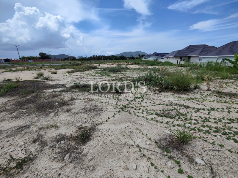 Vacant sandy land with scattered vegetation