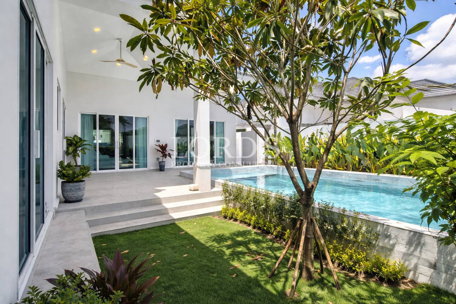 Landscaped courtyard with ornamental tree