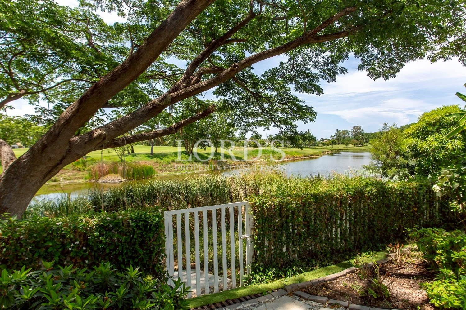 Large tree overlooking scenic landscape