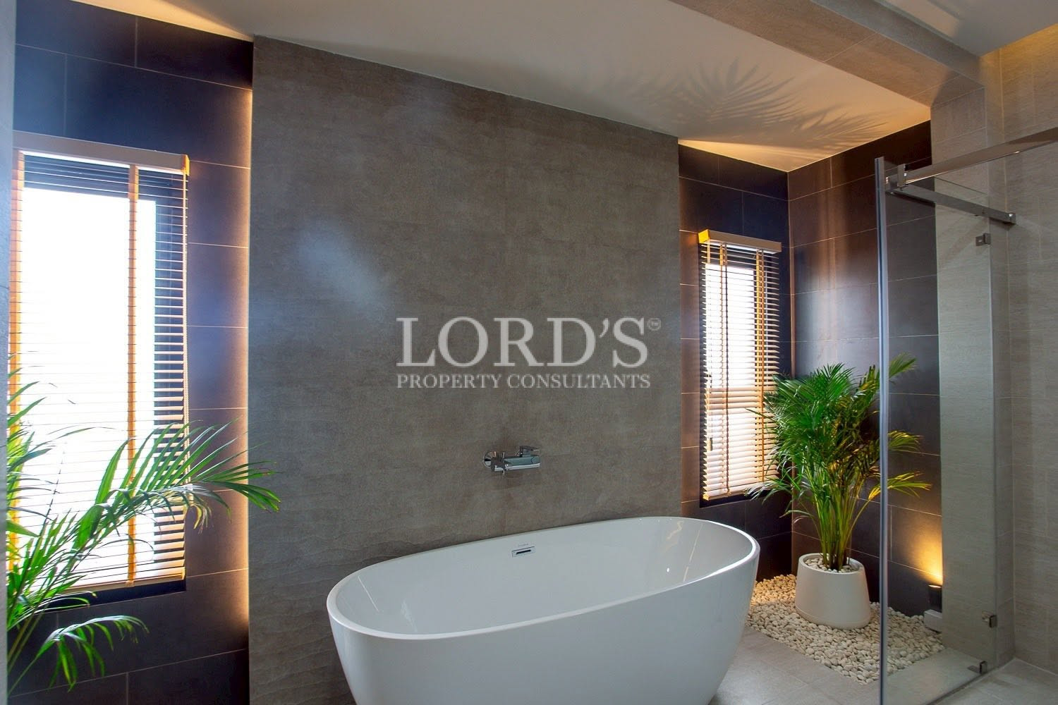 Modern hallway with textured feature wall