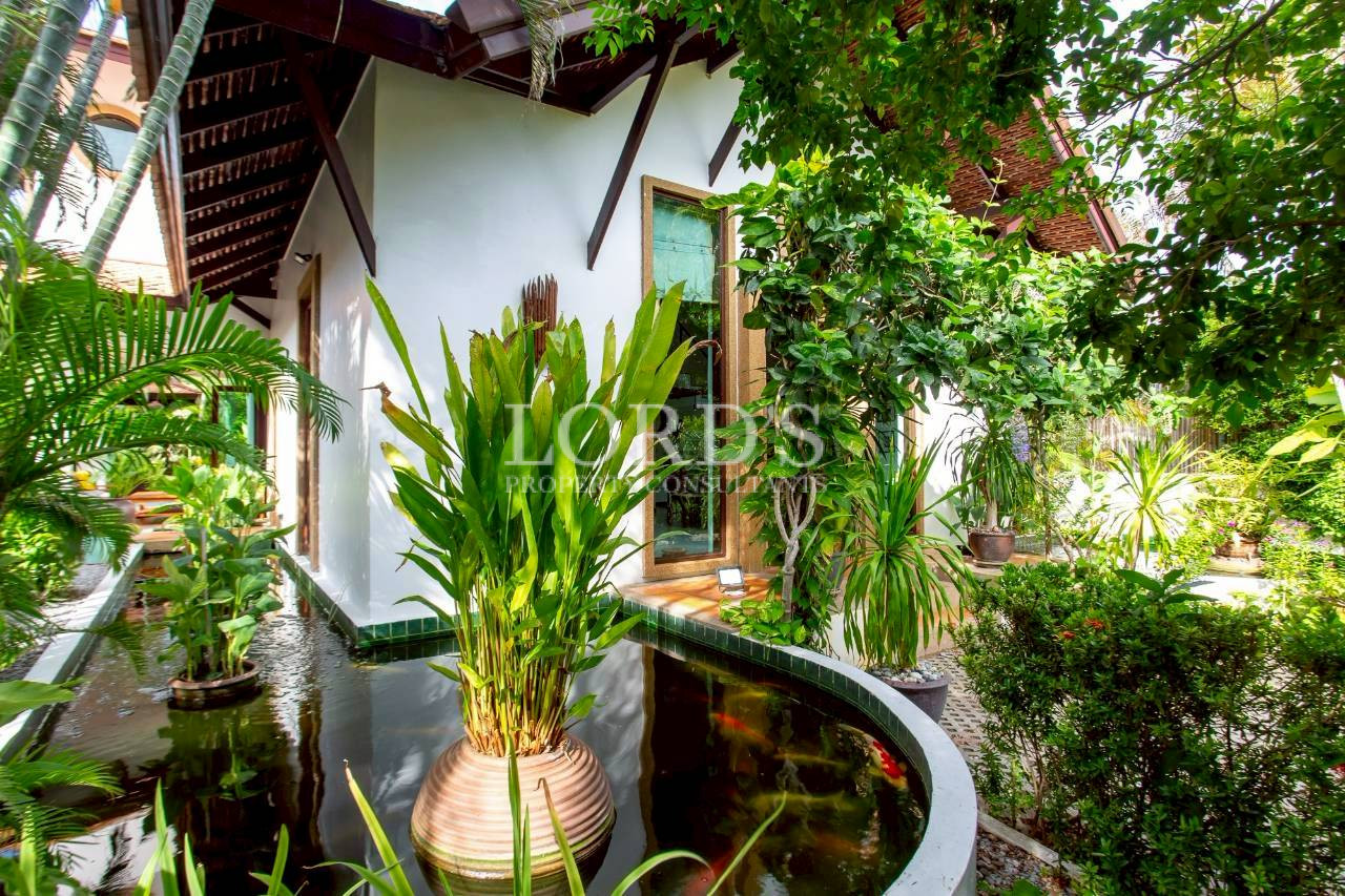 Tropical garden pathway surrounded by lush greenery