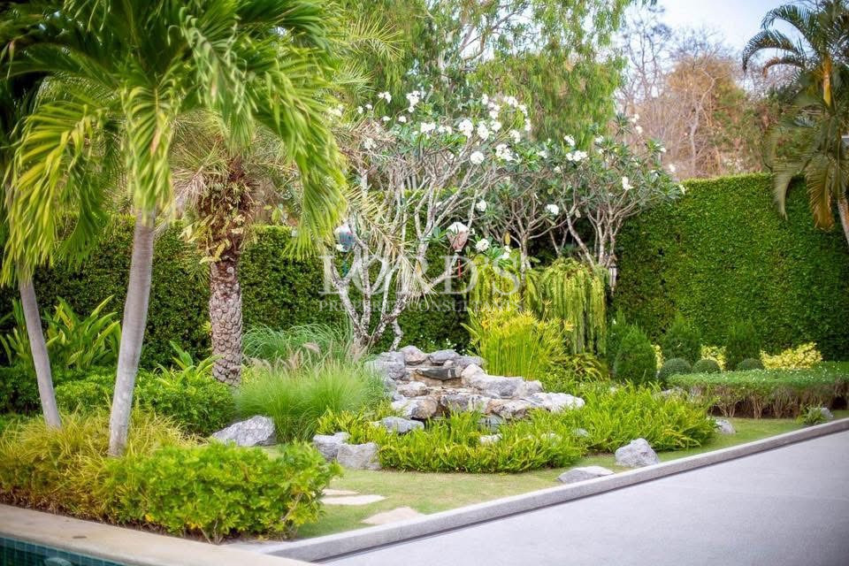 Tropical garden with mature trees