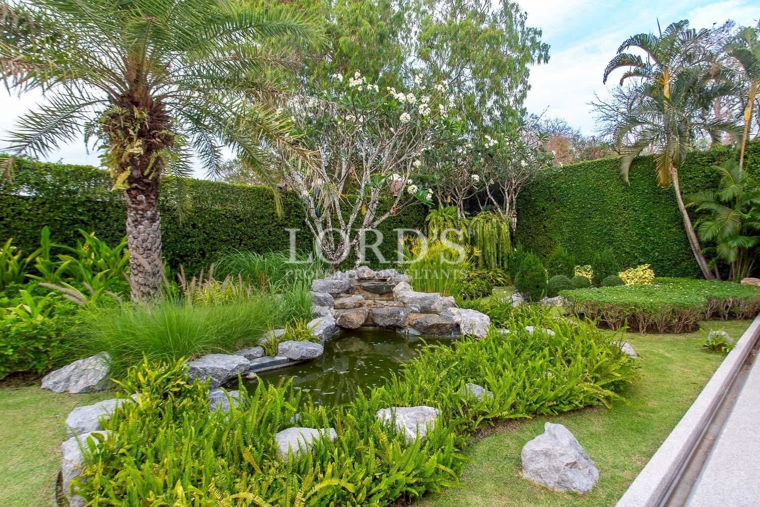 Tropical garden with ornamental tree