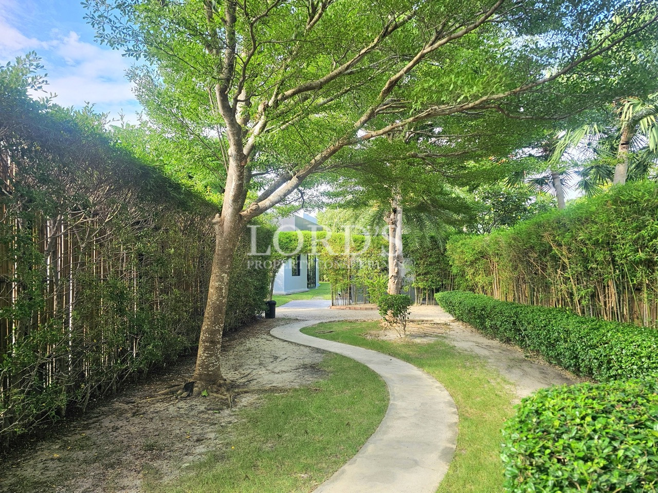 Landscaped garden pathway with mature trees, trimmed hedges, and a winding walkway in a luxury residential community